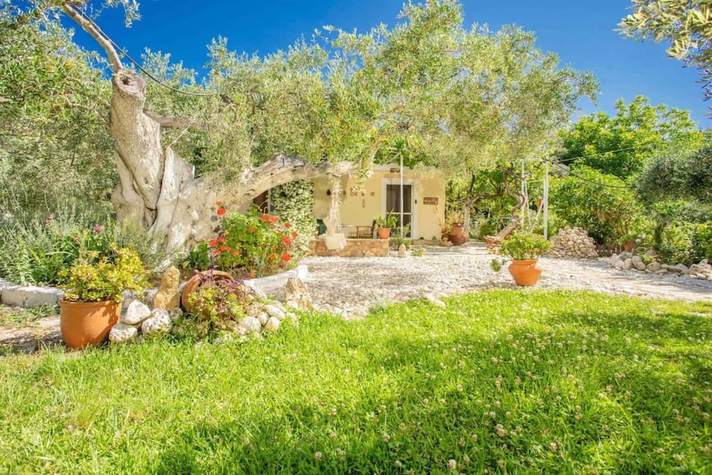 Anthia Private Studio A Breath Away From Beaches Айос-Никитас Экстерьер фото